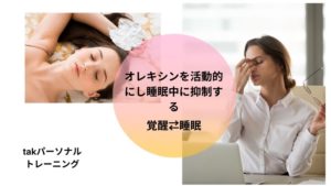 オレキシンを活動的にし睡眠中に抑制する