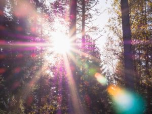 太古の民族は亡くなった人の心臓を取り出し、太陽に差し出した