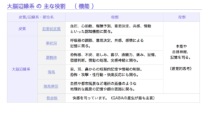 大脳辺縁系について