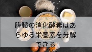 膵臓の消化酵素