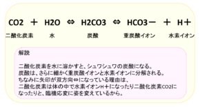 重炭酸イオン