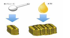 心臓は脂質がエネルギー源