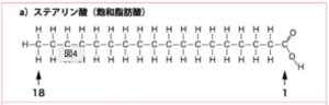 飽和脂肪酸の分子式