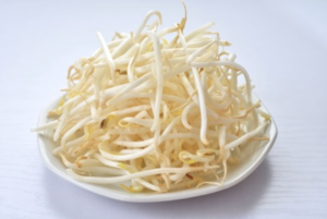 緑豆もやし