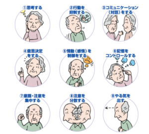 前頭前野