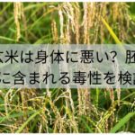 玄米は身体に悪い？胚芽に含まれる毒性を検証