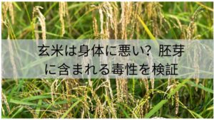 玄米は身体に悪い？胚芽に含まれる毒性を検証