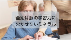 亜鉛は脳の学習力に欠かせないミネラル