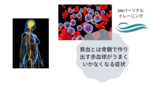 貧血とは骨髄で作り出す赤血球がうまくいかなくなる症状
