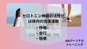 セロトニン神経の活性化は体内の往復運動