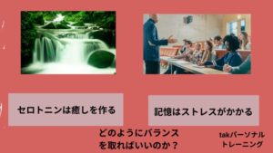 セロトニンは癒し記憶は学習でのストレスのバランス