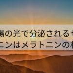 太陽の光で分泌されるセロトニンはメラトニンの材料