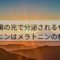 太陽の光で分泌されるセロトニンはメラトニンの材料