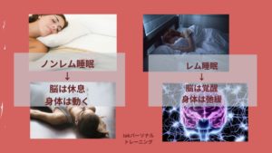 睡眠サイクルはノンレム睡眠とレム睡眠のバランス