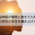 脳神経の種類と働きで人間の感性と知性を磨きあげる