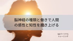 脳神経の種類と働きで人間の感性と知性を磨きあげる